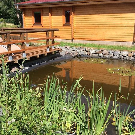 Vila Blockhaus Harzblick4C Braunlage Exteriér fotografie