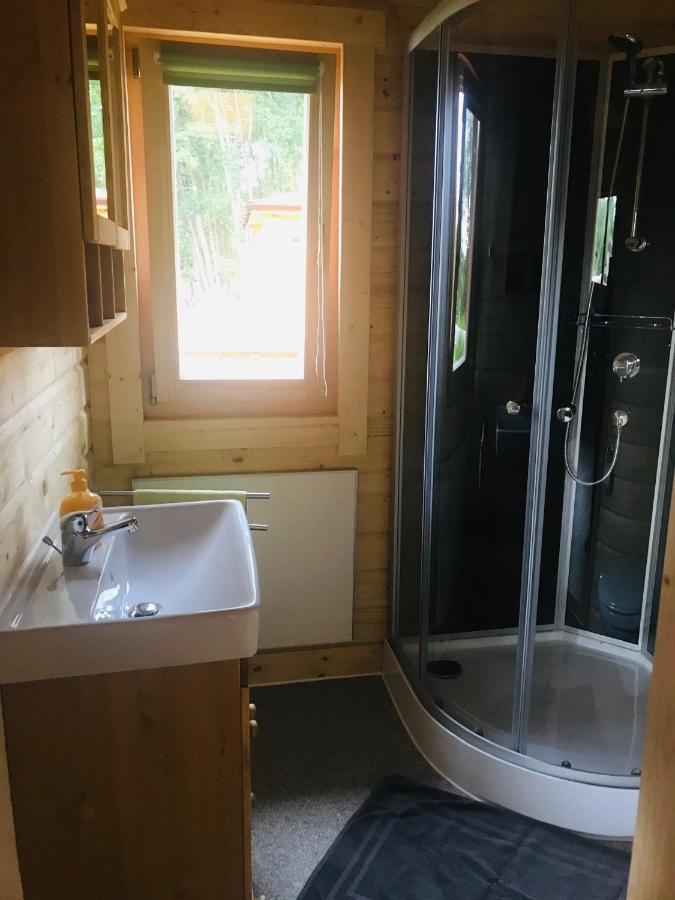 Vila Blockhaus Harzblick4C Braunlage Exteriér fotografie