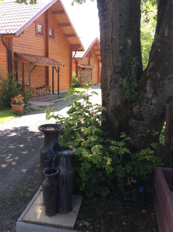 Vila Blockhaus Harzblick4C Braunlage Exteriér fotografie